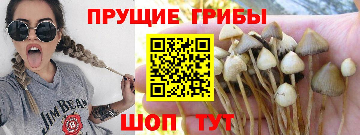 Галлюциногенные грибы ЛСД  Вход с VPN  Менделеевск 